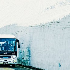 [나고야] [하나투어]인천출발 아시아나항공 [출발확정] 알펜루트/도야마/나고야 4일