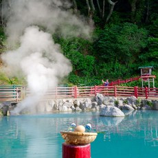 추천3대구벚꽃명소