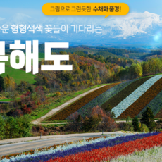 북해도패키지