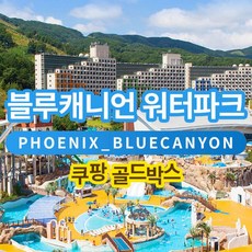 [평창] [특가] 평창 휘닉스파크 블루캐니언 워터파크 종일권 (~9/30)