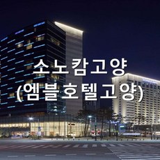 소노캄고양