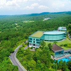 [제주/서귀포] WE호텔 제주 WITH YOU 프로그램 무료 제공, 소아 인원 추가 무료, 수영장 무료이용