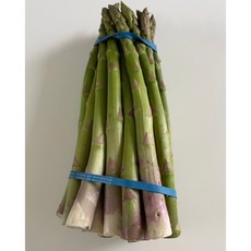 페루산 생아스파라거스 500g 생아스파라거스500g 아스파라거스생 아스파라것. 아스피라거스, 1개