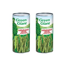 그린자이언트 프리미엄 아스파라거스 스피어스 425g 2캔, ONE COLOR, ONE SIZE