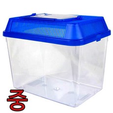 사각 다용도 채집통 중(색상랜덤발송) 곤충채집통, 1개, 랜덤