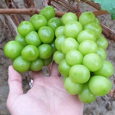 50f68f456cf9dd18cf8cc41e0acabb42e43130a293ee1729c41cf294e1d6.jpg