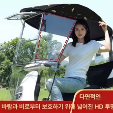 LAKEMIN오토바이가림막 노인전기자전거 오토바이 가림막, 블랙 밀, 1개