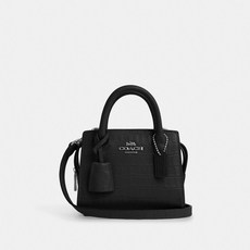코치 Andrea 미니 Carryall 1992204