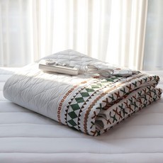 [플래비안] 프리미엄 탄소 워셔블 EMF전자파안심 전기요 싱글