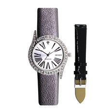 가이거체인시계