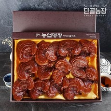 류충현버섯명장 편각영지버섯 고급선물세트, 1박스, 500g