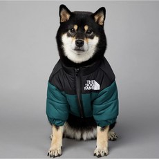 반려동물 노스패딩 강아지패딩 강아지겨울옷 강아지옷 강아지노스페이스, GREEN
