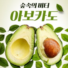 아보카도최상품