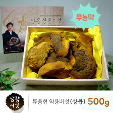 무농약 인증 국산 상황 버섯 상황버섯균사체 원물 100% 베타글루칸 펠리누스린테우스 상황버섯차 뽕나무 목질진흙버섯 종류 먹는방법 끓이는법 효능 친환경 류충현 약용버섯 면역 365 건강 선물세트, 1set, 500g
