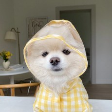 봉쥬르뚜뚜우비