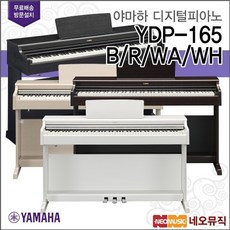 야마하ydp165