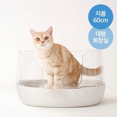 핏펫 냥쌤 배변 스트레스를 최소화한 고양이 투명화장실 (화이트/그린), 1개