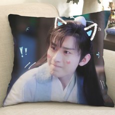 성의 유리미인살 사진 쿠션 굿즈 우사봉 중국배우 중드, D