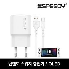 닌텐도스위치oled정품충전기