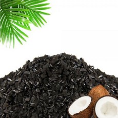 공기정화용숯나무