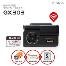 파인뷰gx303