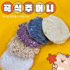 완제품교구 (곡식주머니) 어린이집 유치원 곡식관찰 감각탐색교구 촉감교구 평가인증 환경구성