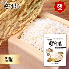 힘찬농부오달봉 2020년산 햇 예천 고논 찹쌀 국내산, 1개, 5kg