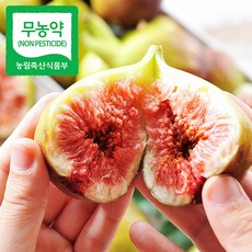 무농약해남생무화과