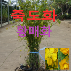 5eb43a008fb6c77ec4fa26c52b74fcb01764dbcc5ca26adc8a5655a5017a.png