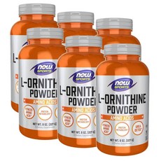 나우푸드 L- 오르니틴 가루 NOW L- Ornithine Powder, 6개