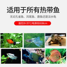49eba0edf3ec93eedd127be5e5b91384cb1e706dea291bbe904003896e32.jpg