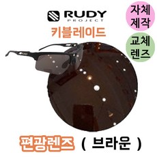 브라운액티브블레이드