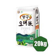 당진감자