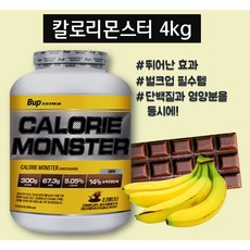 칼로리몬스터