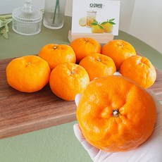 오라밀 제주 윈터프린스 감귤 초 고당도 산지직송, 1박스, 5kg (15-20과)