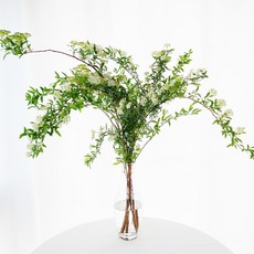 [로즈온리] 조팝나무 가지 한단 생화택배, 1개