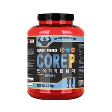 게이너마트 코어P 스타일 웨이 2.27kg 1P 단백