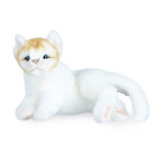 [한사토이]7979-아기고양이화이트 20cm.L