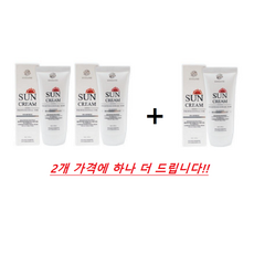 노아코스메틱