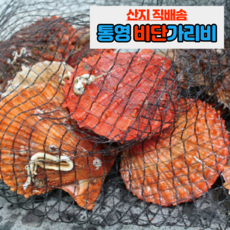 고성석화