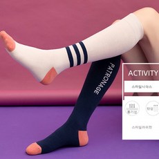 니하이삭스운동