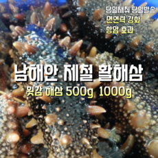 [산지직송] 국내산 자연산 남해안 햇 제철 해녀채취 활해삼 횟감해삼 1000g 1박스, 남해안 햇 제철 횟감 활해삼 1000g
