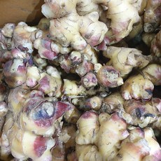[영암상회]국내산 흙생강 (1차세척생강) 10kg내외. 생강, 10kg