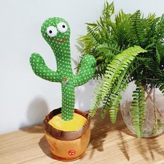 따라쟁이선인장