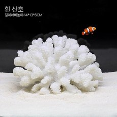 산호석 산호 어항 장식 수조 수족관 조경