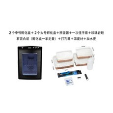 거북이 전자동 인큐베이터 소형 가정용 파충류 카멜레온 도마뱀 거북알 스마트 부화기 박스, N