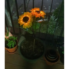 태양광해바라기