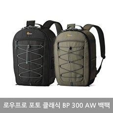 로우프로300aw