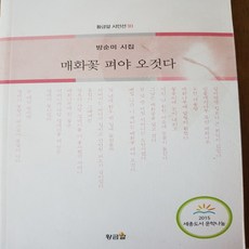 매화꽃 펴야 오것다/방순미시집