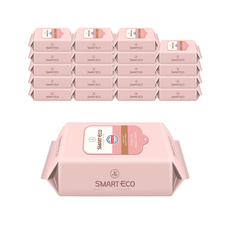 스마트에코안단테